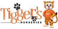 Tiggers Nurseries